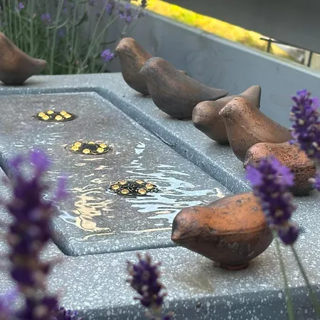 Nadmorskie Marzenie Apartament