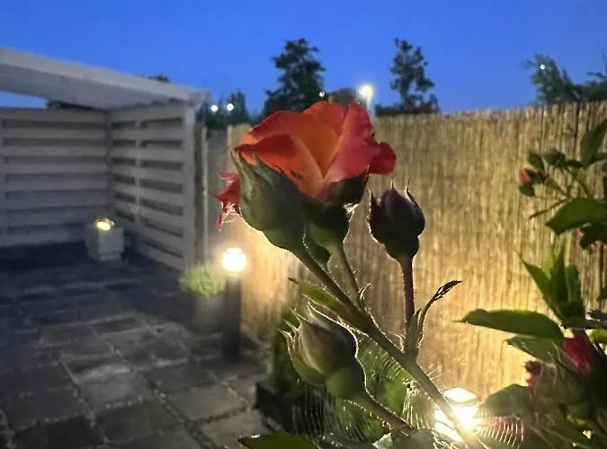 Apartmán Nadmorskie Marzenie